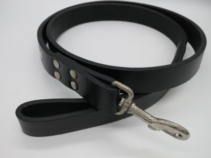 ヘビメタな散歩を演出する首輪専用リード